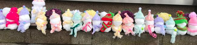 ポチねこ's header image