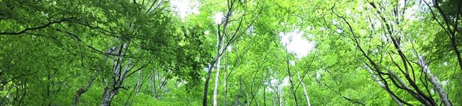 ki0115's header image