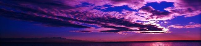 Mikimaka's header image