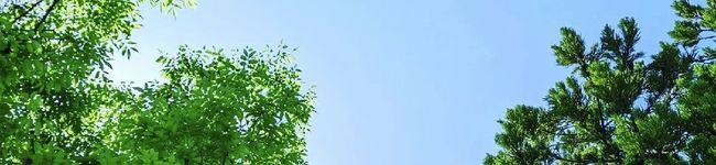 kJiRi's header image