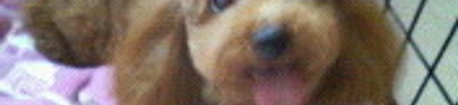 ７nene's header image