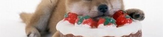 Matsuchi立夏's header image