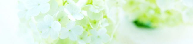 annnnn's header image