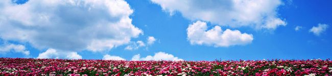 HappyEripi's header image