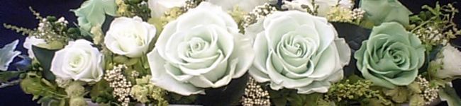 coyoyoc's header image