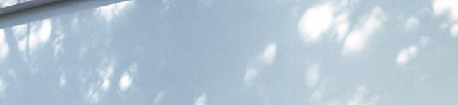 yanyan65's header image
