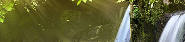 TBites's header image