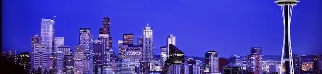 zencat's header image