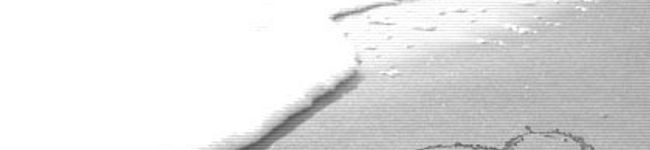 みぽぷぅさん's header image
