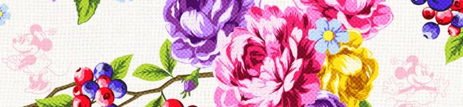 みゃこさん's header image