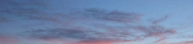 ハワイ島の風's header image