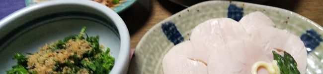 Mikoたん's header image