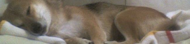 ai1124's header image