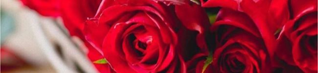 chellcy's header image