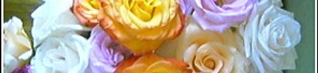 あんママ's header image