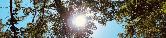 maaaaakodx's header image