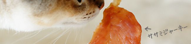 874's header image
