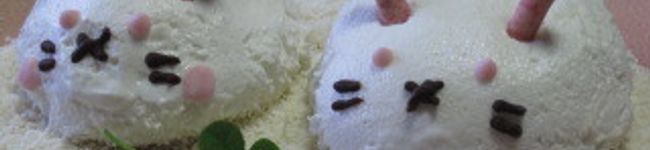 kokokuma's header image