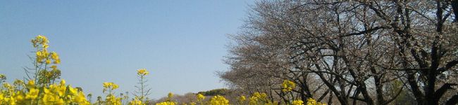 たかなほ☆'s header image