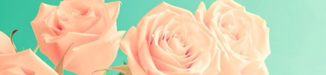 ｋｏｒｏ121's header image