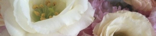 haanami's header image