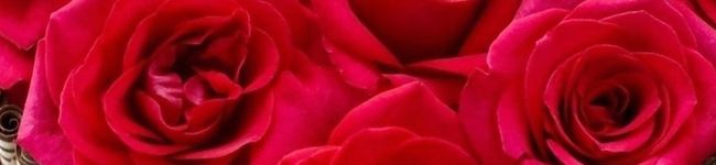 莉紅花's header image