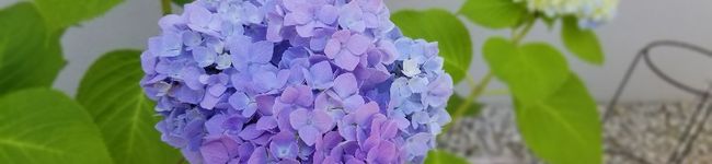 EKNK's header image