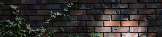 青空dining's header image
