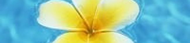 okekenoke's header image