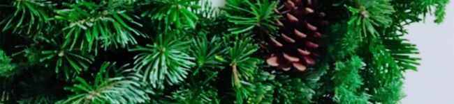 emenina's header image