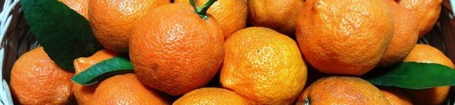 mikanmama3's header image