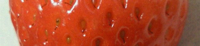 chicua's header image