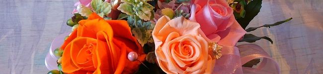 studiomoc's header image