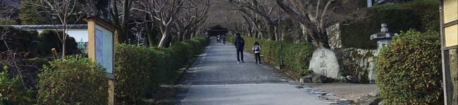 Y、あき's header image