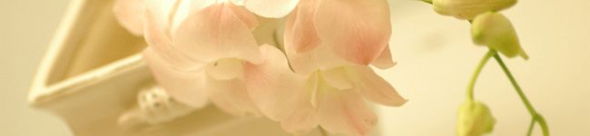 hana華ちゃん's header image