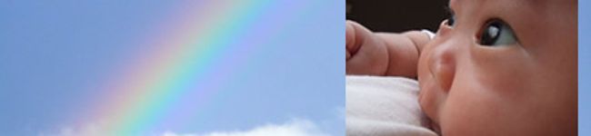 かるにゃん's header image