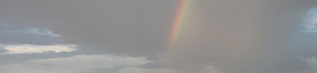 tsuki9393's header image