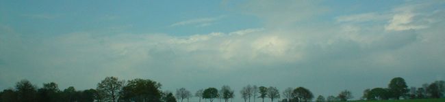 yuki_sugi's header image