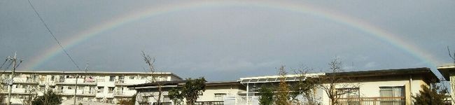 珠リン's header image