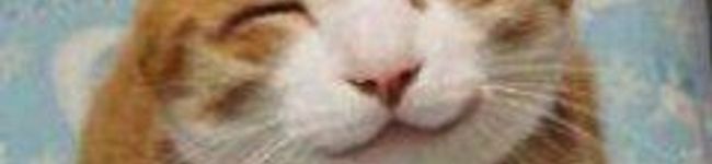 はな助ママ's header image