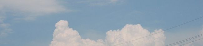 laut's header image