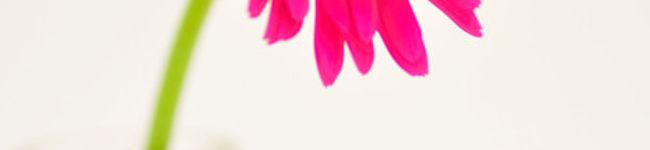 micchi28cp's header image