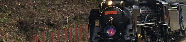 QPはにー's header image