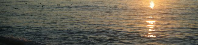 面長番長's header image