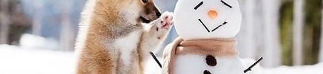 ほの's header image