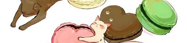 文学小豆's header image