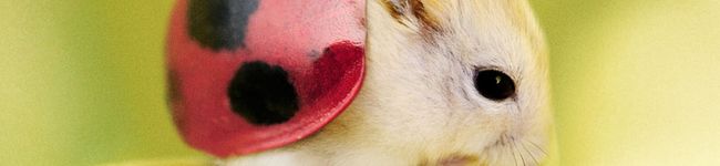 Peach1206's header image
