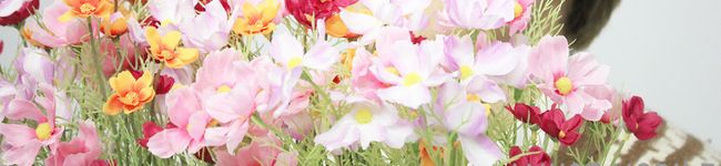 amo♥♥'s header image