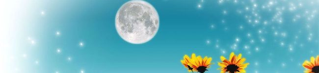 cameLiia's header image