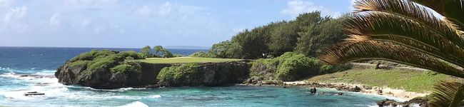 tamecook's header image